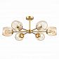 Потолочная люстра Evoluce Pallo SLE155412-06 - фото №1