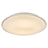 Потолочный светодиодный светильник Globo Madlen 48359-24