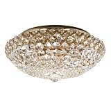 Потолочный светильник Arti Lampadari Asti E 1.2.40.100 G