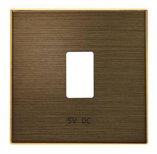 Лицевая панель ABB Sky розетки USB античная латунь 2CLA858520A1201