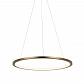 Подвесной светодиодный светильник Loft IT Ring 10014M - фото №2