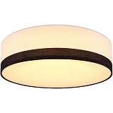 Потолочный светодиодный светильник Globo Maggy 15385D1