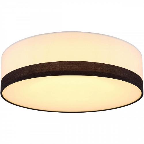 Потолочный светодиодный светильник Globo Maggy 15385D1