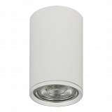 Потолочный светильник Escada 20001SMU/01 SWH