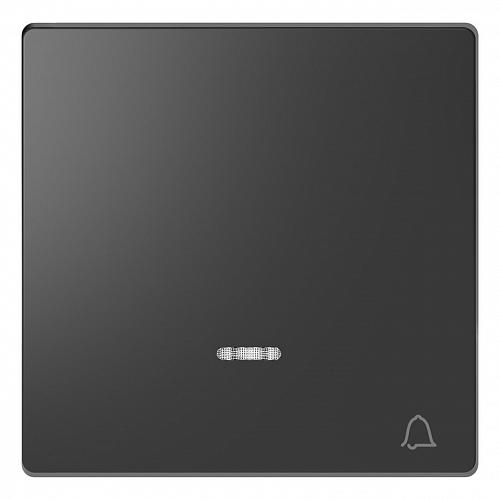 Клавиша одинарная Schneider Electric Merten D-Life MTN3325-6034