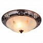 Потолочный светильник Arte Lamp 28 A3014PL-2AC - фото №2