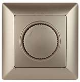 Диммер поворотный ЭРА Intro Solo 600W шампань 4-401-04 Б0043399