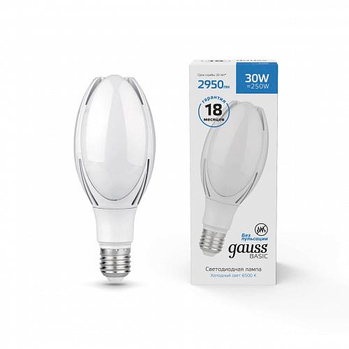 Лампа светодиодная Gauss E40 30W 6500К матовая 11834332