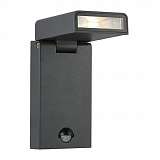 Уличный настенный светодиодный светильник Globo Sparrow 34310S