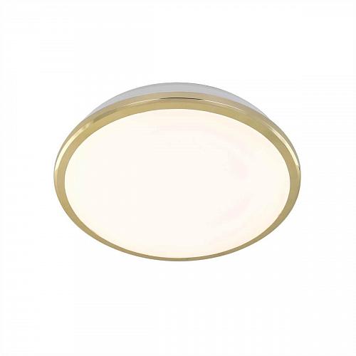 Потолочный светодиодный светильник Citilux Луна CL702162W