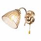 Бра Escada Freesia 658/1A Gold - фото №1
