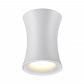 Потолочный светильник Odeon Light Zetta 4271/1C - фото №3