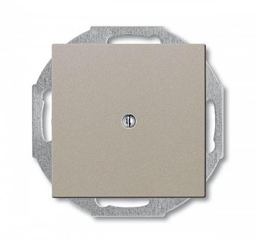 Лицевая панель ABB Basic55 заглушка шампань 2CKA001715A0314