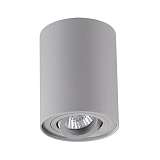 Светильник Odeon Light 3831/1C