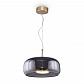 Подвесной светодиодный светильник Maytoni Madmen MOD127PL-L6SG - фото №1