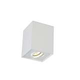 Потолочный светильник Crystal Lux CLT 420C WH