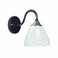 Бра Wedo Light Регине 65825.02.13.01 - фото №1