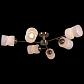 Потолочная люстра Illumico IL0283-6CSQ-79 AB - фото №1