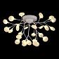 Потолочная люстра Evoluce Avola SLE250102-27 - фото №2