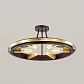 Потолочная люстра Lumion Lofti Maeve 4401/6C - фото №2