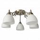 Потолочная люстра Toplight Lora TL7371X-05AB - фото №1