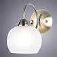 Бра Arte Lamp A9317AP-1AB - фото №2