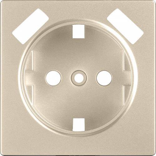 Лицевая панель Werkel розетки USB шампань WL11-USB-CP 4690389124693