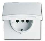 Розетка ABB 2CKA002011A3841