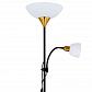 Торшер Arte Lamp Duetto A9569PN-2BK - фото №5