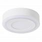 Потолочный светодиодный светильник Arte Lamp Antares A7806PL-2WH - фото №1