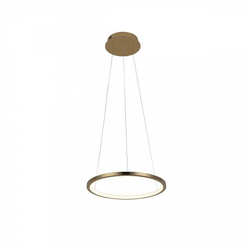 Подвесной светодиодный светильник Loft IT Ring 10014S