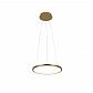 Подвесной светодиодный светильник Loft IT Ring 10014S - фото №1