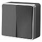 Выключатель двухклавишный Werkel Gallant графит рифленый WL15-03-01 4690389128264 - фото №1