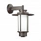 Уличный настенный светильник Odeon Light Nature Mito 4047/1W - фото №1