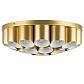 Потолочная люстра Lightstar Siena 720222 - фото №1