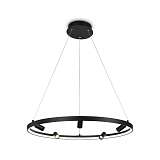 Подвесная светодиодная люстра Ambrella light Comfort Line FL5289
