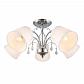 Потолочная люстра Omnilux Novello OML-56307-05 - фото №1