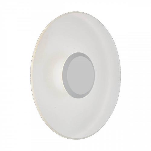 Уличный настенный светодиодный светильник ST Luce SL925.501.01