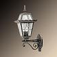 Уличный настенный светильник Arte Lamp Paris A1351AL-1BS - фото №1