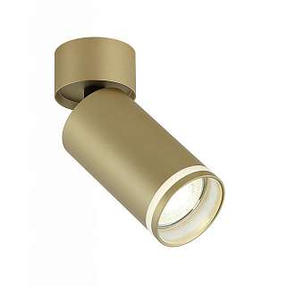 Споты с одним плафоном матово-золотистого цвета