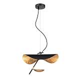 Подвесной светильник Vele Luce Aronos VL5734P21