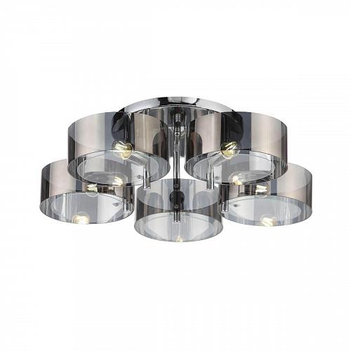 Потолочная люстра Evoluce Foresta SL483.702.05