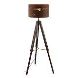 Торшер Eglo 49793