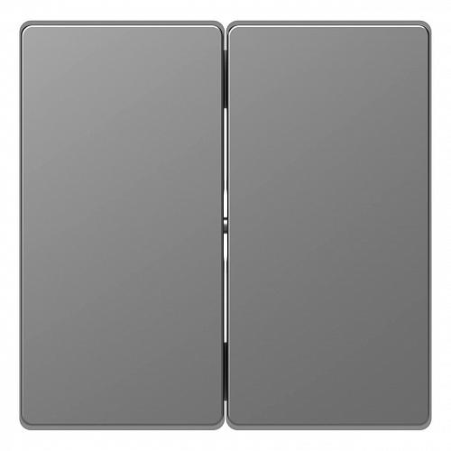 Клавиша двойная Schneider Electric Merten D-Life MTN3400-6036