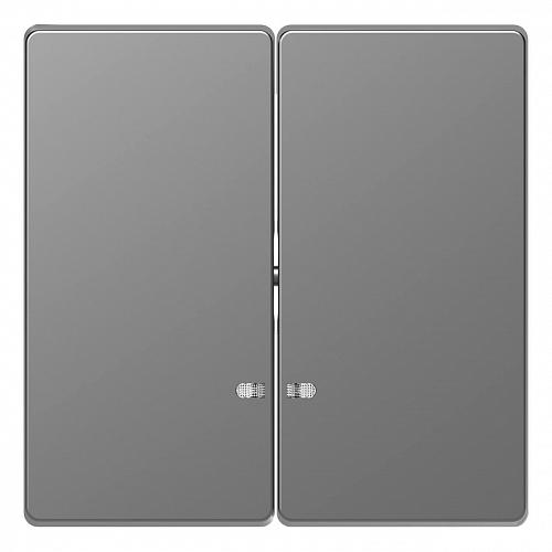 Клавиша двойная Schneider Electric Merten D-Life MTN3420-6036