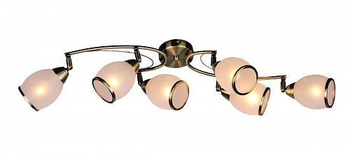 Спот  Omnilux OML-35127-06