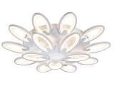 Потолочная светодиодная люстра Omnilux OML-45807-210