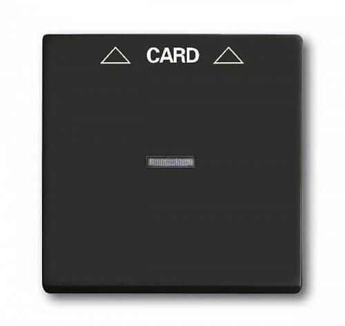 Лицевая панель ABB Basic55 выключателя карточного chateau-черный 2CKA001710A3933