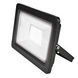 Прожектор Uniel ULF-F19-50W/4000K IP65 175-250В Black