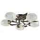 Потолочная люстра Arte Lamp Anetta A6157PL-5AB - фото №1